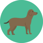 image_2022-11-18_143602433-150x150